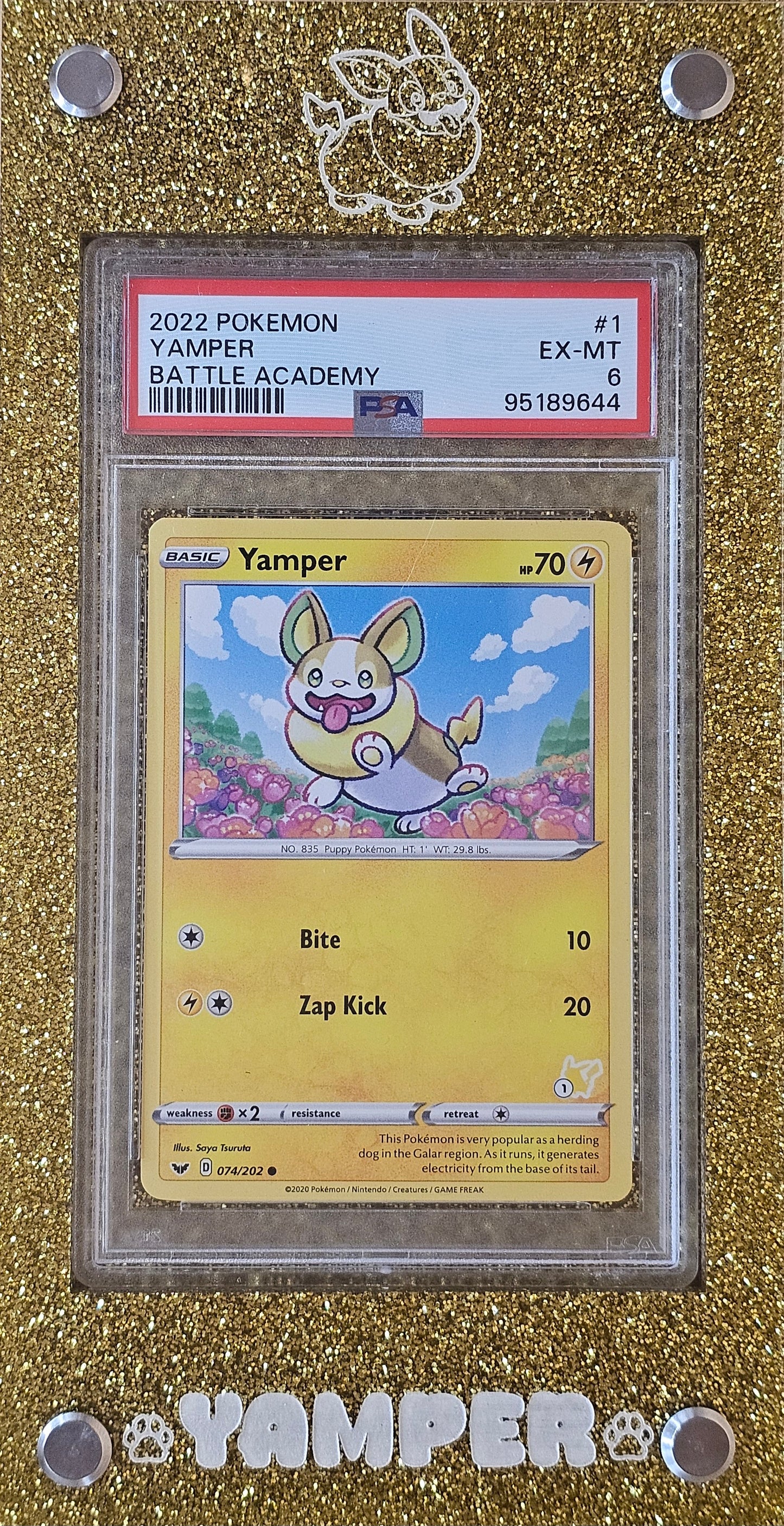 Custom Graded Trading Card Holder